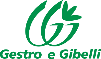 Gestro e Gibelli